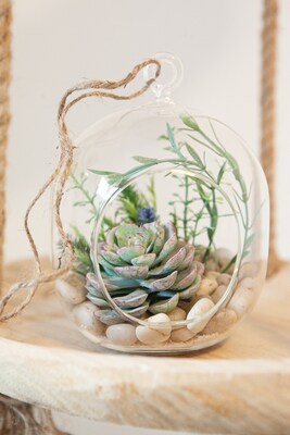 Lovely Whimsical Glass Terrarium with Artificial Succulents and Plants in Light Greens and Blue Tones - image2